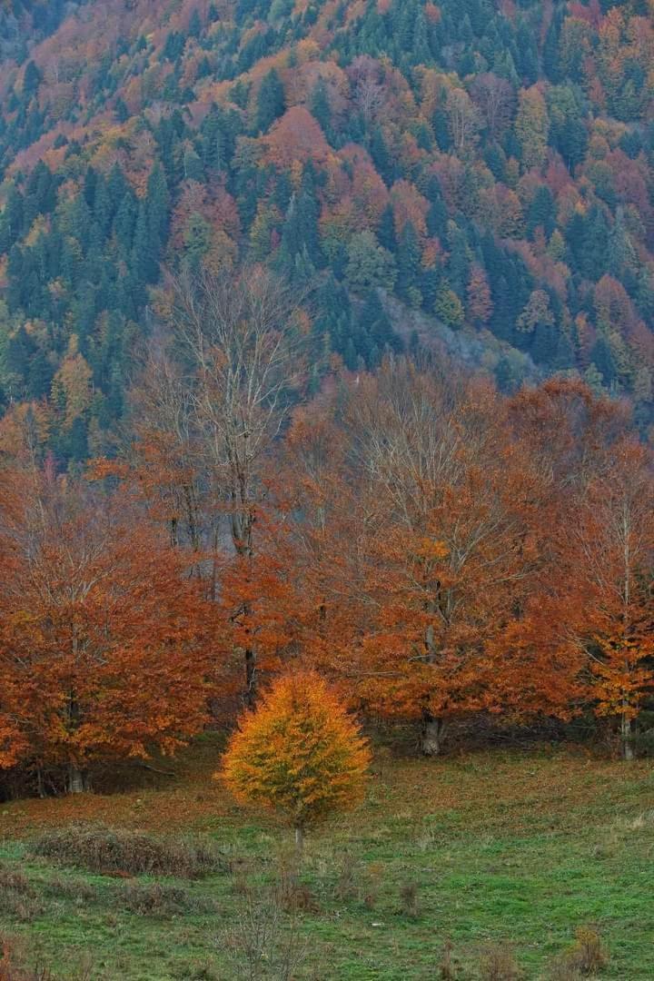 Archontiko Tou Krommyda Eláti Dış mekan fotoğraf