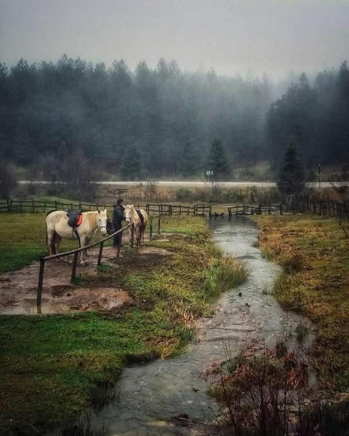 Archontiko Tou Krommyda Eláti Dış mekan fotoğraf